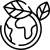 Stendinox